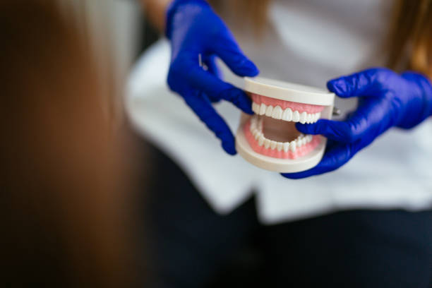 Trusted Fort Knox, KY  Holistic Dental Services Experts